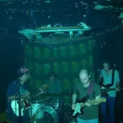 Alex Bleeker And The Freaks