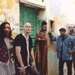 Alsarah And The Nubatones