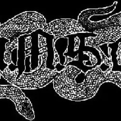 A.M.S.G.