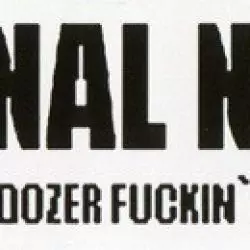 Anal Nosorog