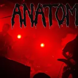 Anatomia