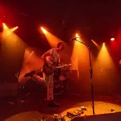 Andy Human And The Reptoids