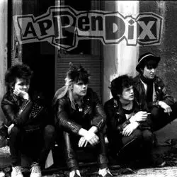 Appendix