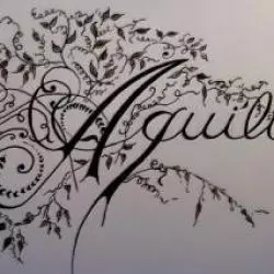 Aquilus
