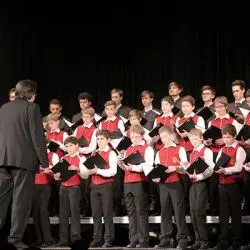 Augsburger Domsingknaben