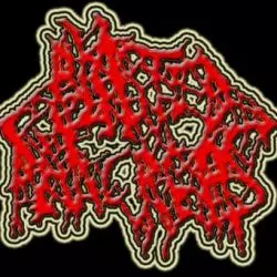 Blasted Pancreas
