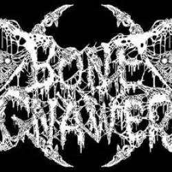 Bone Gnawer