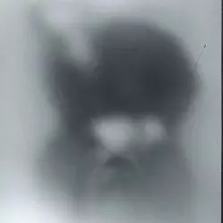 Brume
