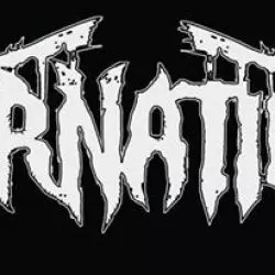 Carnation