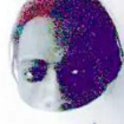 Chelonis R. Jones