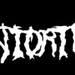 Contorture