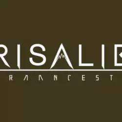 Crisalida