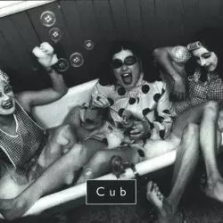 Cub
