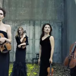 Daedalus String Quartet