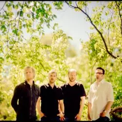 Dans Les Arbres