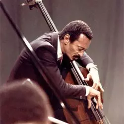 David Williams