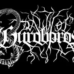 Dawn Of Ouroboros