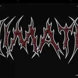 Decimation