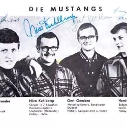 Die Mustangs