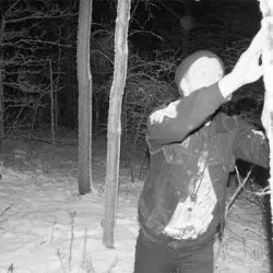 Dödsvarg