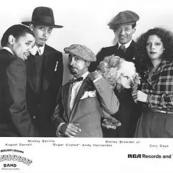 Dr. Buzzard's Original Savannah Band