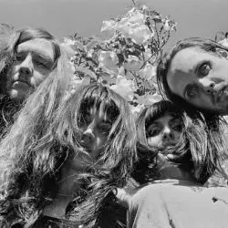 Drug Cult