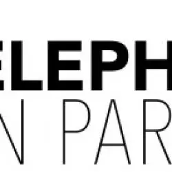 Elephants In Paradise