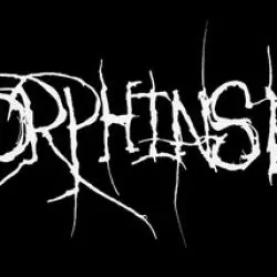 Endorphins Lost