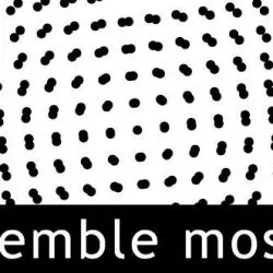 Ensemble Mosaik
