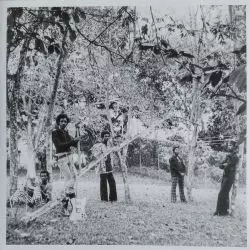 Family Tree
