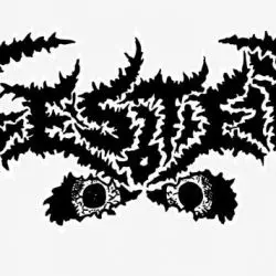 Fester