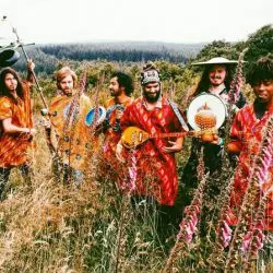 Flamingods