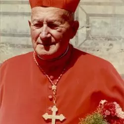 František Tomášek