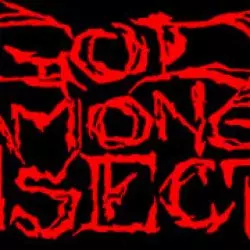God Among Insects