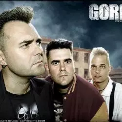 Gorilla