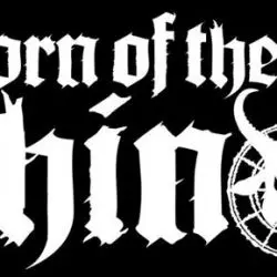 Horn Of The Rhino