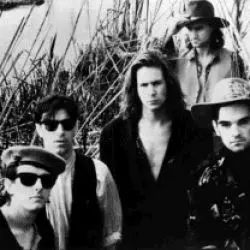 Hothouse Flowers