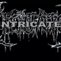 Intricated