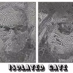 Isolated Gate