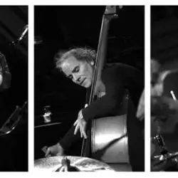 Jamie Saft Trio