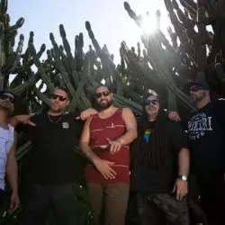 Katchafire
