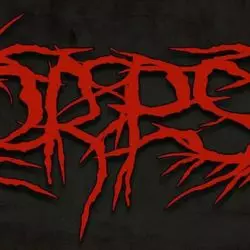 Korpse