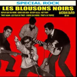 Les Blousons Noirs
