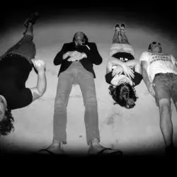 Les Ton Ton Macoutes