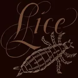 Lice