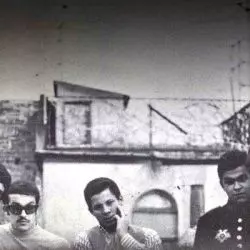 Los Impala