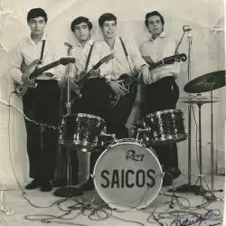Los Saicos