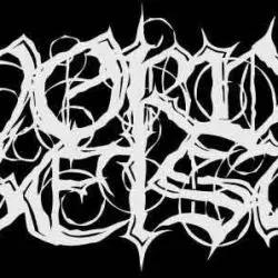 Nordgeist