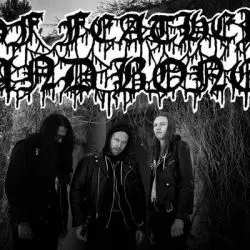 Of Feather And Bone