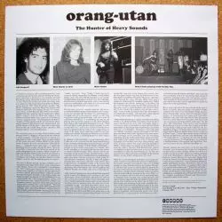 Orang-Utan
